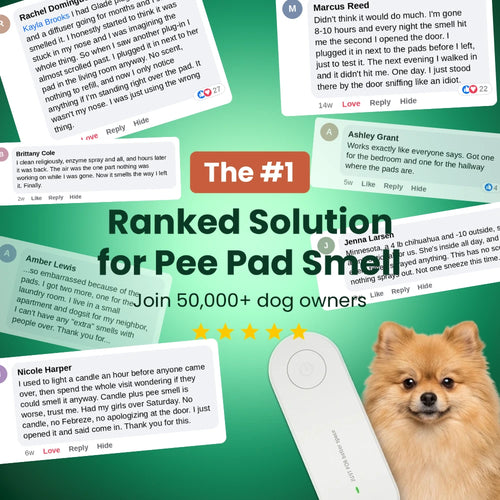 Dog owners on PadGuard