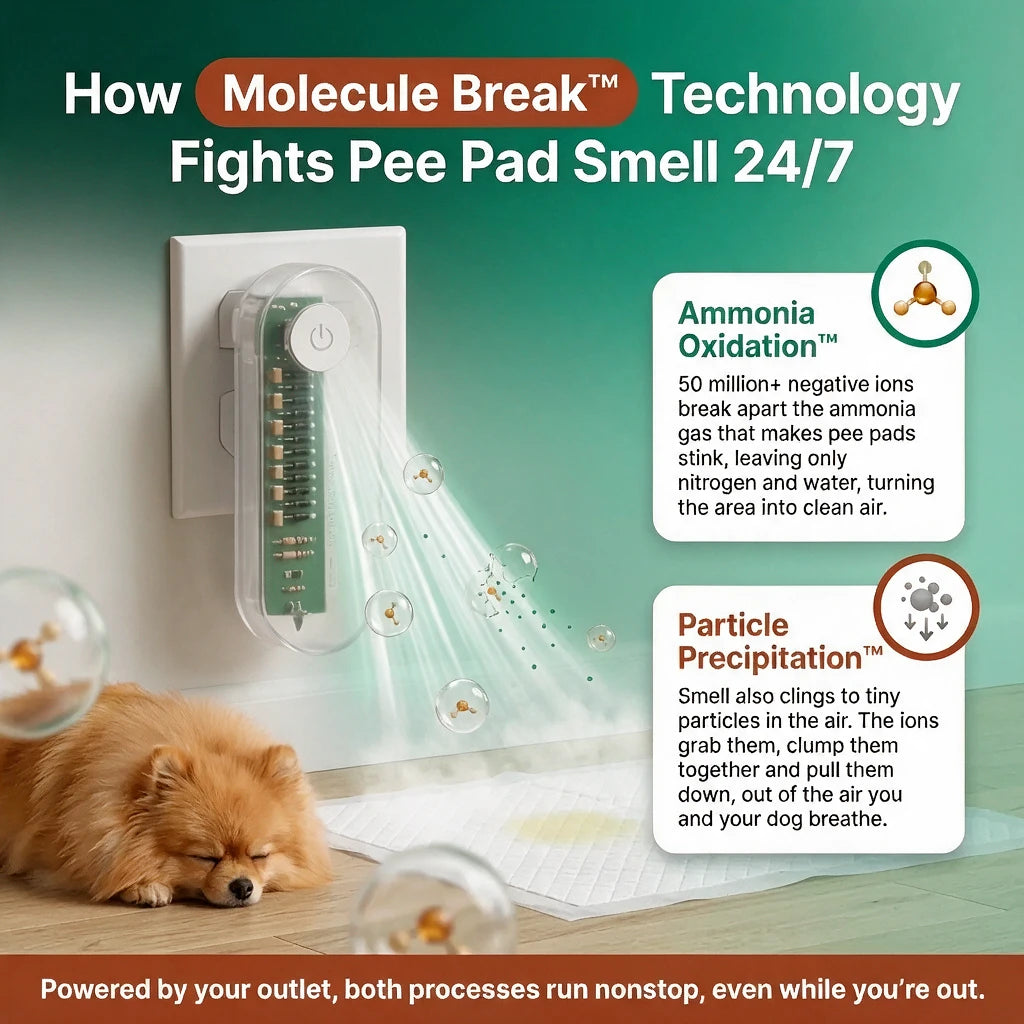 How Molecule Break technology works