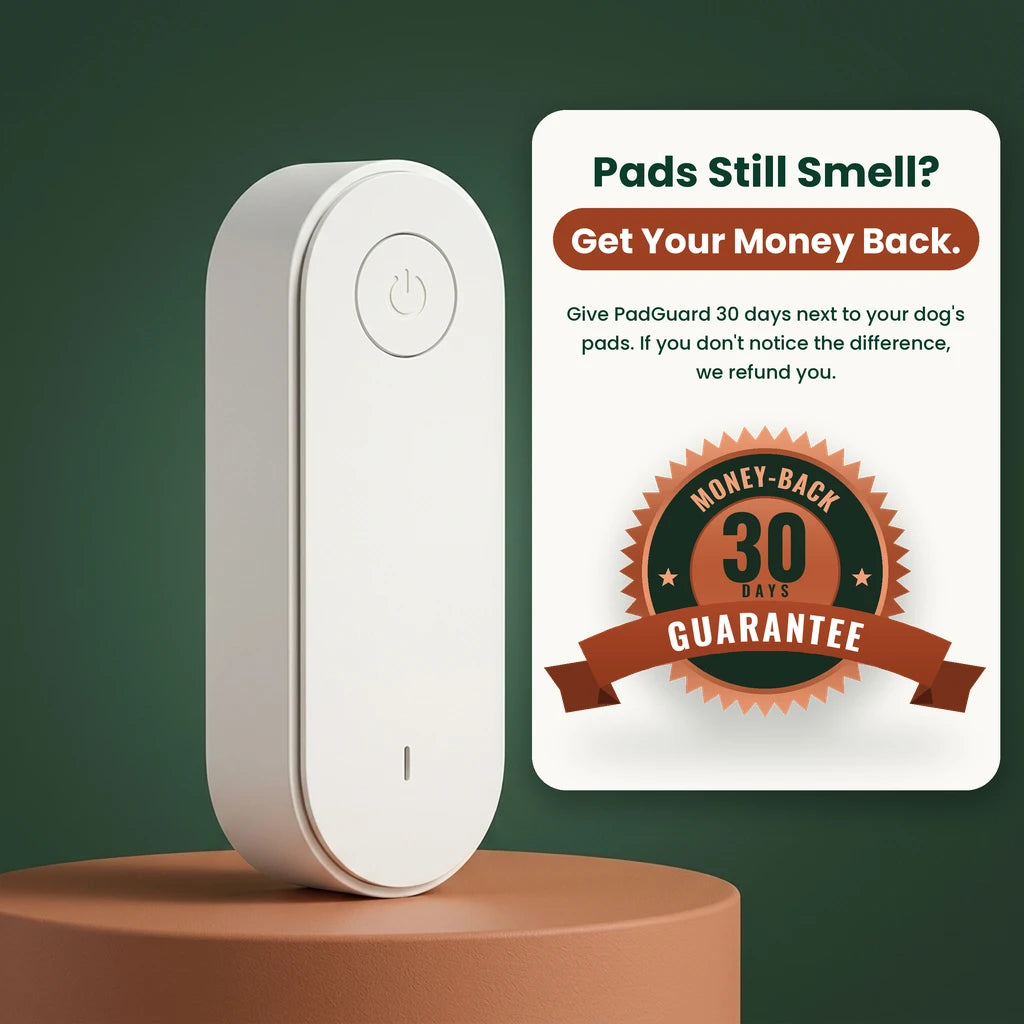 30-day money-back guarantee